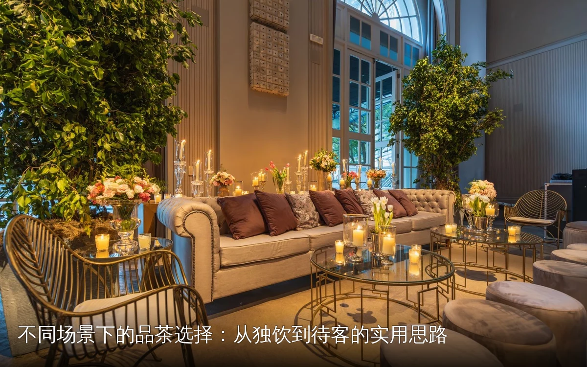 不同场景下的品茶选择:从独饮到待客的实用思路